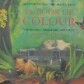 The Book of Colour by Julia Blackburn